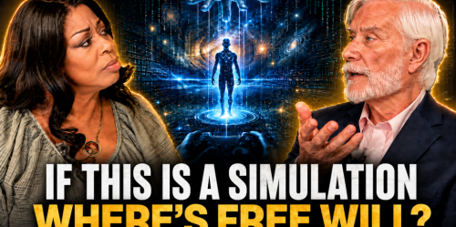 Tom Campbell on free will in a virtual reality.